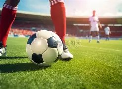 欧宝娱乐,产品,欧宝娱乐官网,欧宝娱乐,欧宝娱乐官网