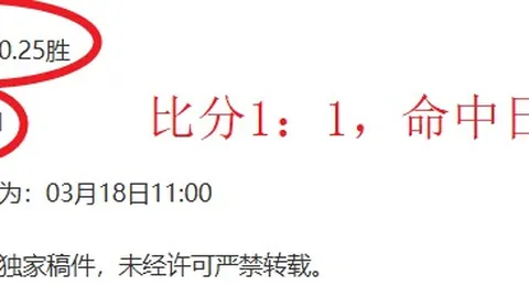 圣彼得堡泽尼特主场表现强劲，亚盘支持度降低原因分析